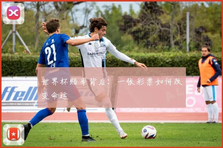 世界杯赔率背后：一张彩票如何改变命运