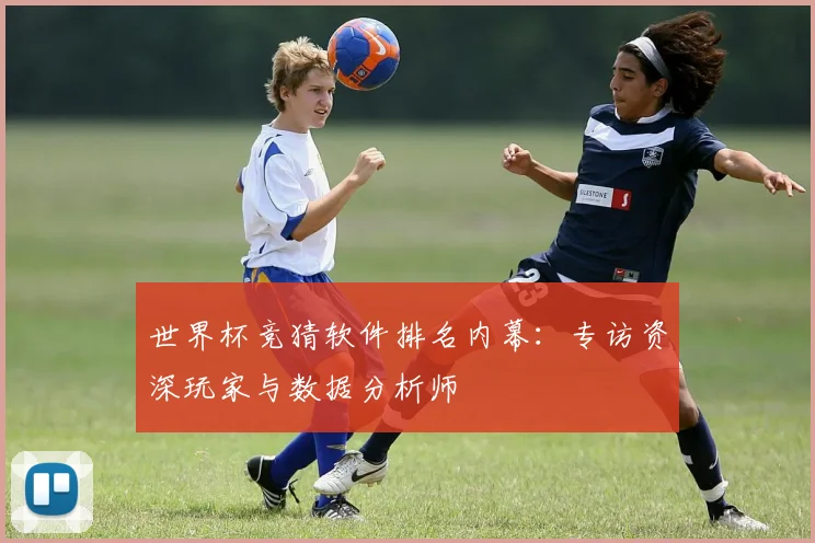 世界杯竞猜软件排名内幕：专访资深玩家与数据分析师
