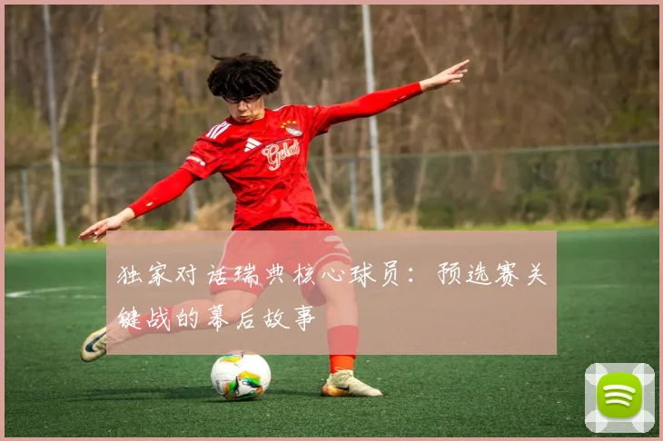 独家对话瑞典核心球员：预选赛关键战的幕后故事