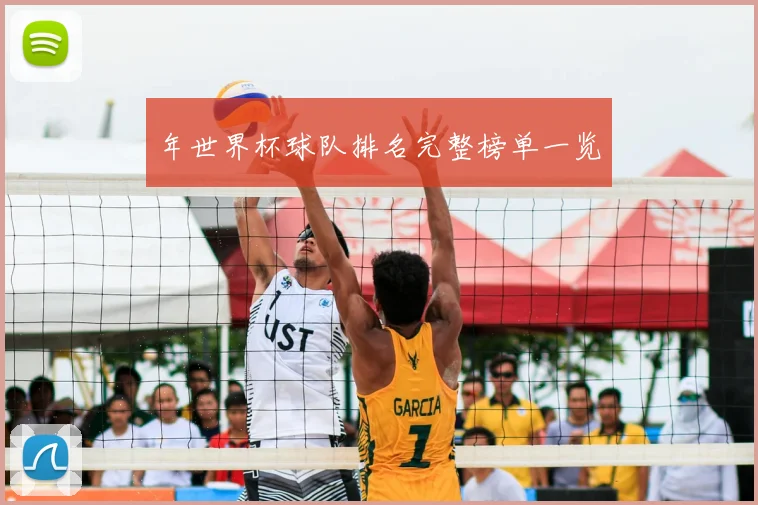 年世界杯球队排名完整榜单一览