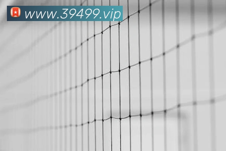 米兰体育网页官网APP 体育赛事宣传图